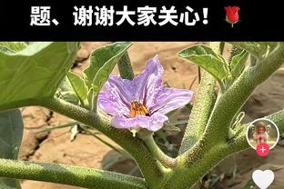 独造四球！姆巴佩本场数据：2球2助3次关键传球，获全场最高9.6分